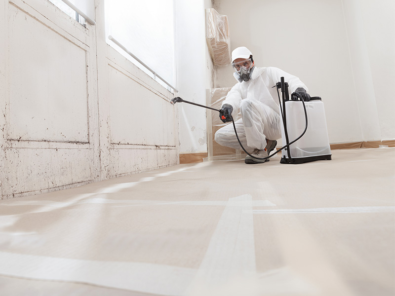 restoration-services-hanover-pa Mold remediation expert spraying mold killer along wall.