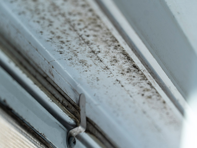 restoration-company-gettysburg-pa Mold growing along door frame.