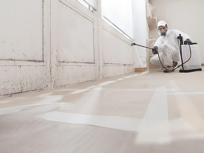 mold-remediation-hanover-pa